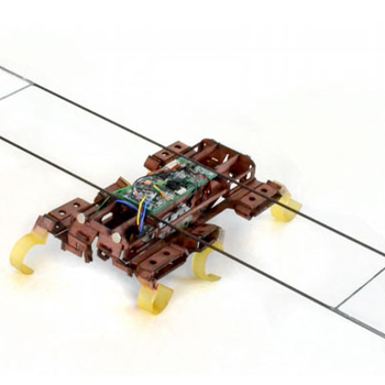VelociRoACH