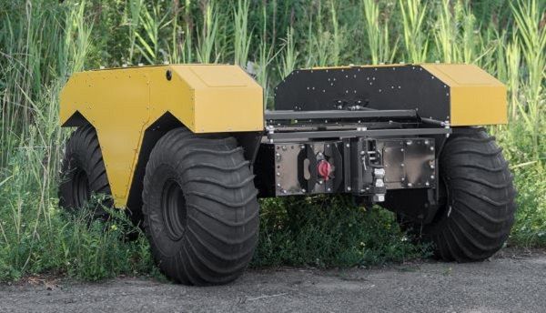 Warthog