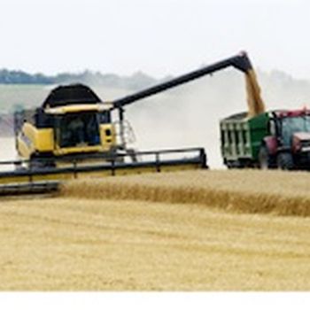 Combine harvester