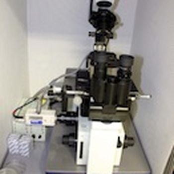Atomic force microscope
