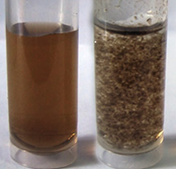 Graphene Oxide