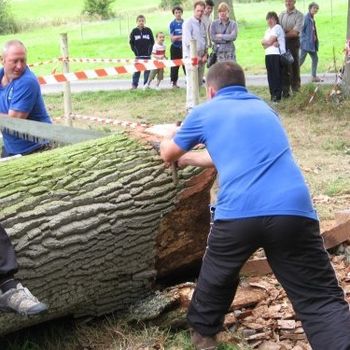 Two-man saw