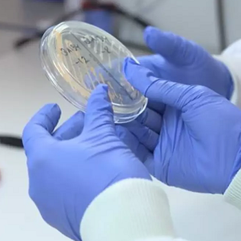 Antimicrobial Medical Gloves