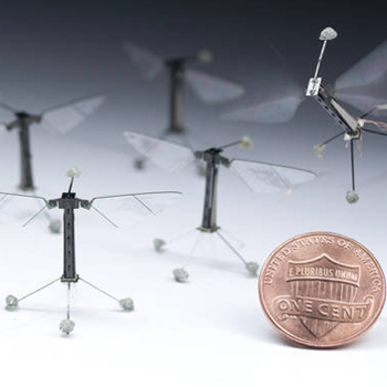 Robobees