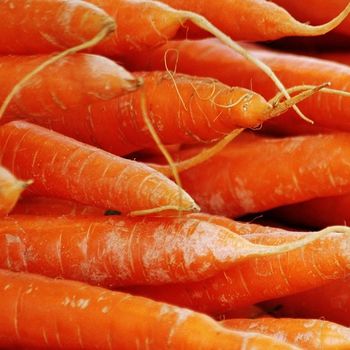 Carrot Concrete