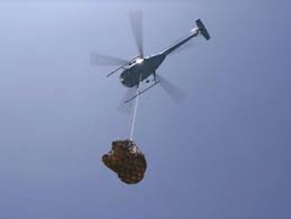 Aerial crane