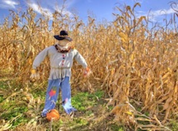 Scarecrow