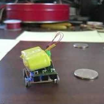 SRI Microbot