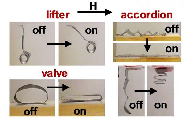 Advancing Soft Robots