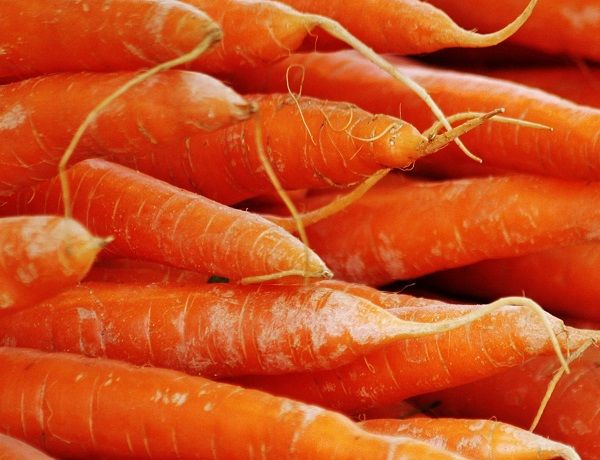 Carrot Concrete