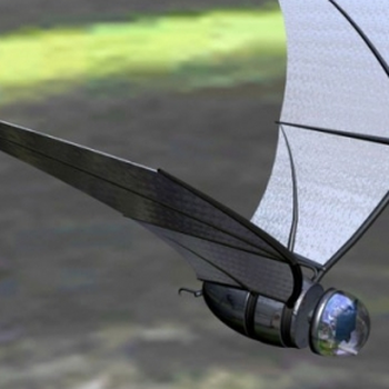Spy Bat