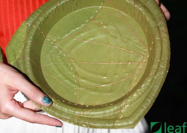 Leaf Plates
