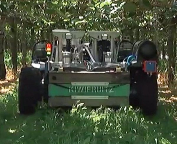 Kiwifruit Picker