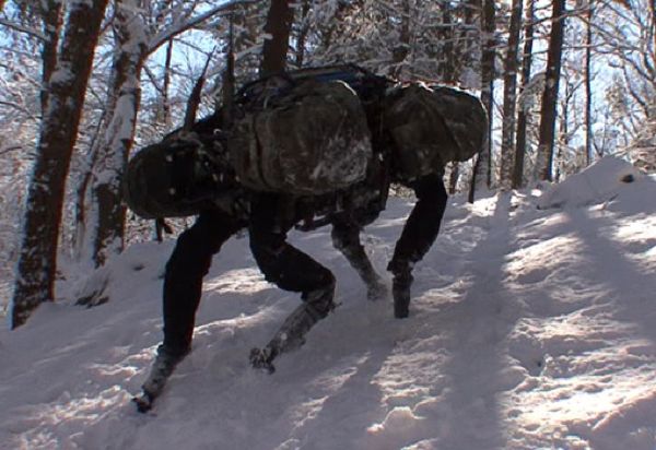 Quadruped