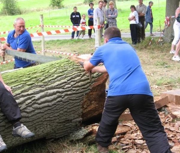 Two-man saw