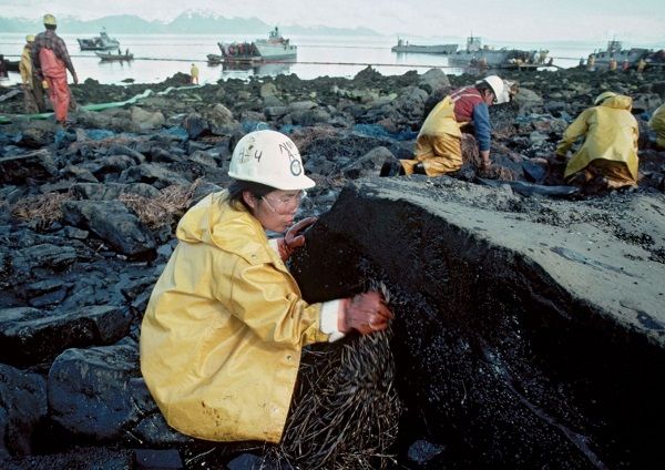 Bioremediation