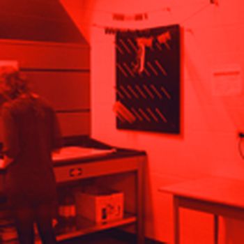 Darkroom lights