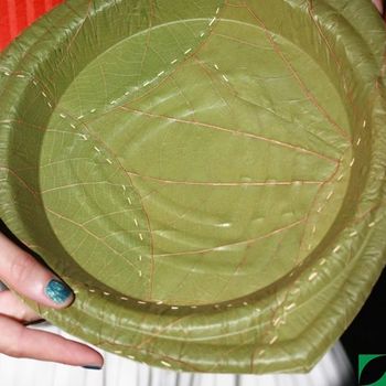 Leaf Plates