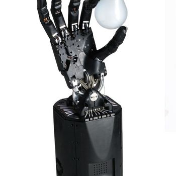 Shadow Dexterous Hand