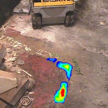 Radscan 800