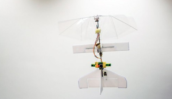 DelFly Explorer