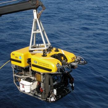 Remotely Operated Vehicle (ROV)