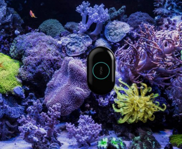 Robotic Glass Cleaner