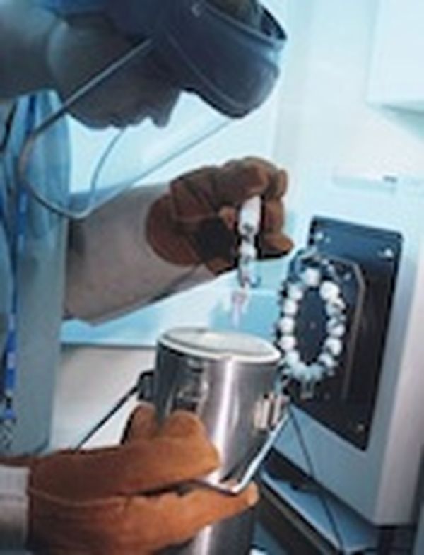 Preserving human tissue