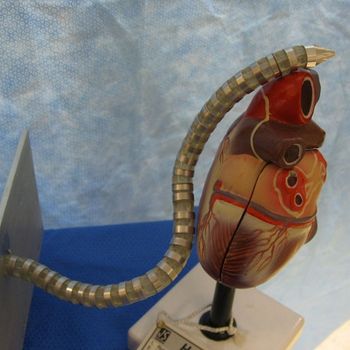 MedSnake