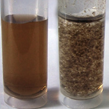Graphene Oxide