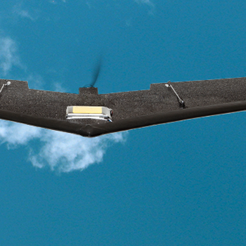 Swinglet CAM