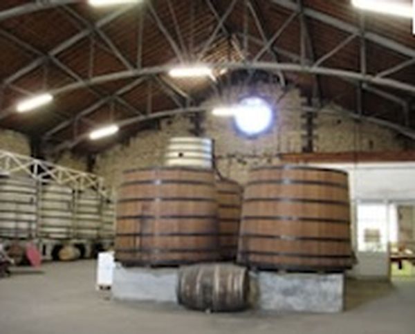 Brandy