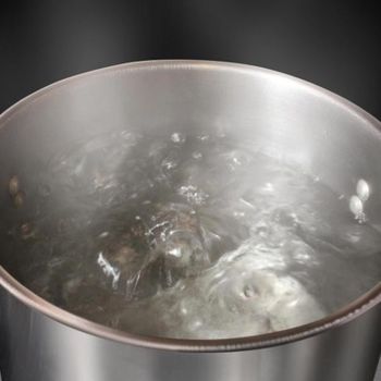 Hot Water Flushing