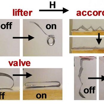 Advancing Soft Robots