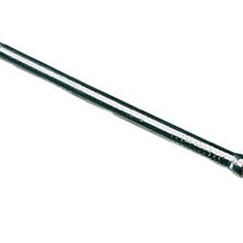 Oval wire nail