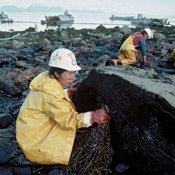 Bioremediation