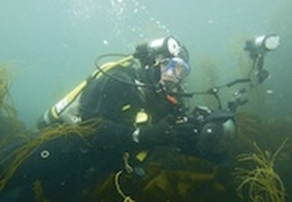 Scuba diving