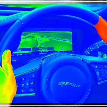 Sensory Steering Wheel