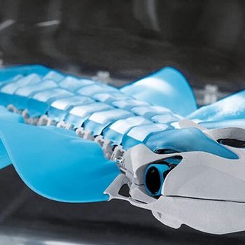 BionicFinWave