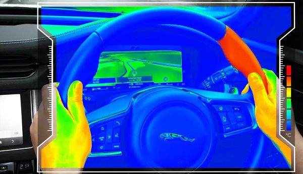 Sensory Steering Wheel
