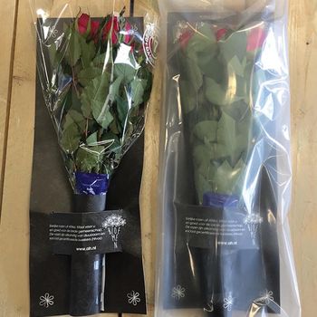 Waterless Internet Flower Packaging