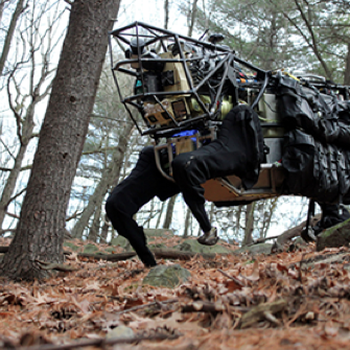LS3 - Legged Squad Support Systems