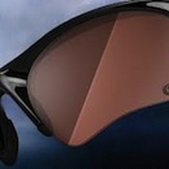 Polarised sunglasses
