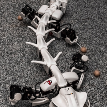 Pleurobot