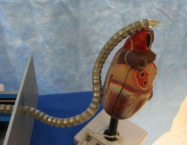 MedSnake