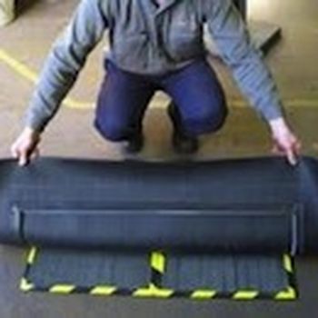 Plastic moulding