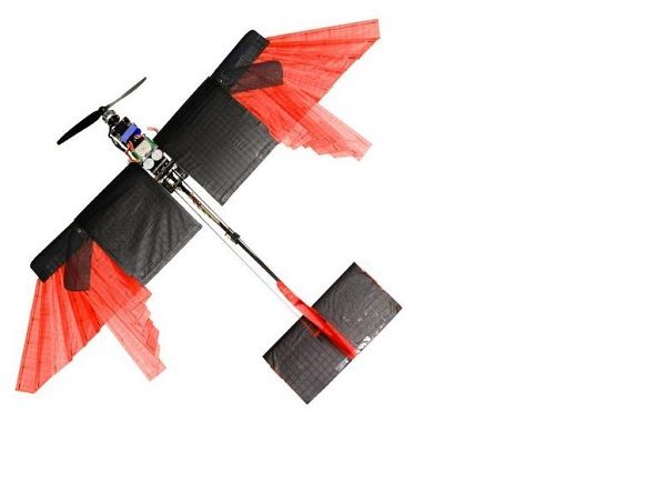 Feathered Wing Drone
