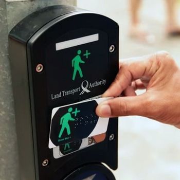 Green Man Plus