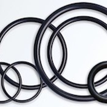 Oval and complex shaped O-rings