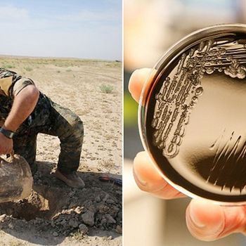 Microscopic Bomb Detector